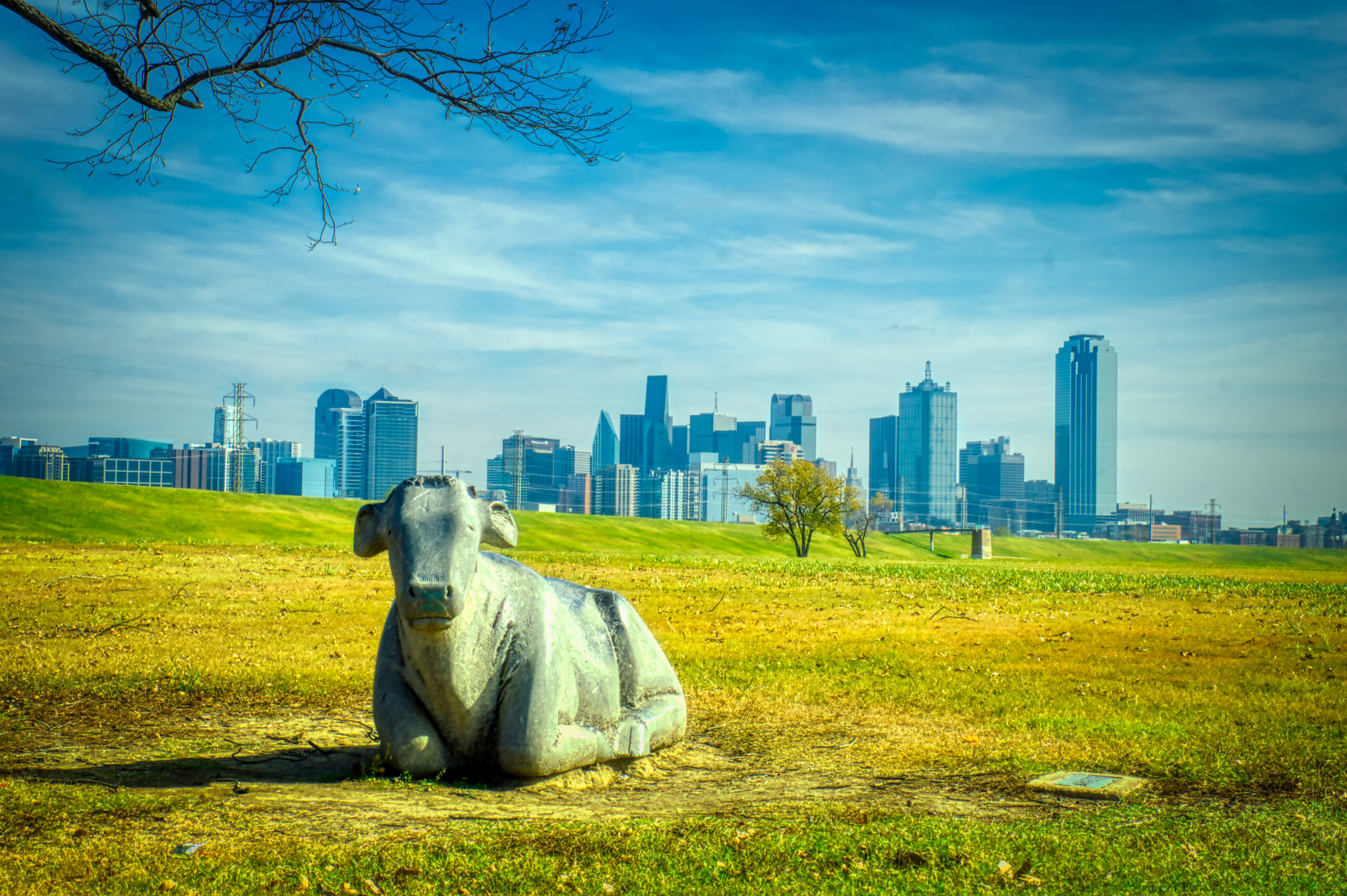 Dallas — fine art landscape photography by RDM Designs